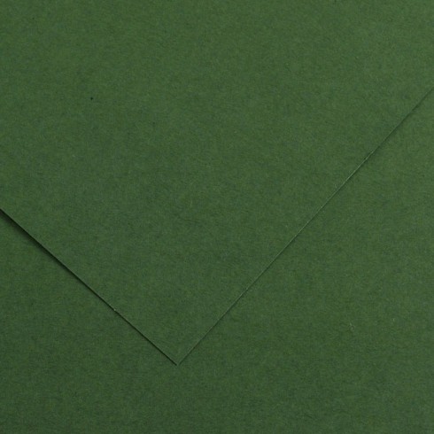Cartoncino Vivaldi A3 185 gr. 50 ff 31 Verde abete