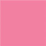 Cartoncino Vivaldi A4 185 gr. 50 ff 85 Rosa Fenico