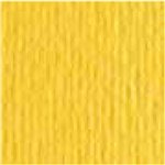 Cartoncino Cartacrea 10 ff 35x 50 Cedro