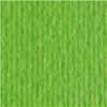 Cartoncino Elleerre 5070  20 ff Verde Pisello