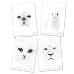 Maxi Monocromo White 100 gr. A