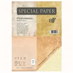 Carta Bapi Pergamena Avorio A4 160 gr. 25 ff