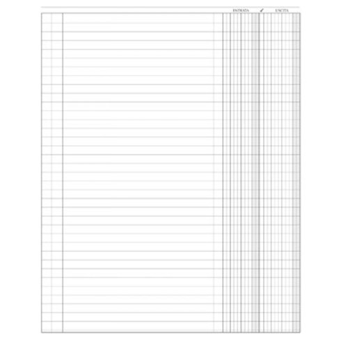 DU Registri Cassa Entrate/Uscite 31x24