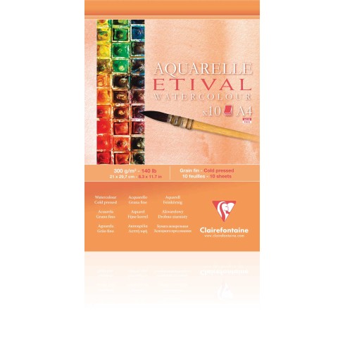 Blocchi Claire Fontaine Etival Study A4 10 F 300G