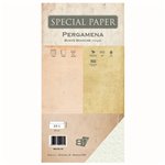 Buste Bapi Pergamena Bianco 11x22 110 gr. 25 pz.
