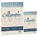 Carta Calligraphy Pergamena  90 gr. 50 ff Perla