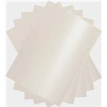 Buste Calligraphy Pergamena 11x23 25 pz. Perla