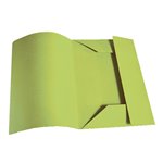 Cartelle 3 lembi Standard s/stampa Verde 50 pz.