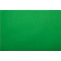 Carta Velina Rossi 24 ff 50x75 21 gr.  Verde F034 (00060239 - 00060157 )