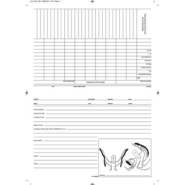 MT Schede Ginecologiche 17x24 50 pz 257280000