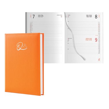 Agenda 25 Quando Alleria 15x21 Giorn. SDA Arancio