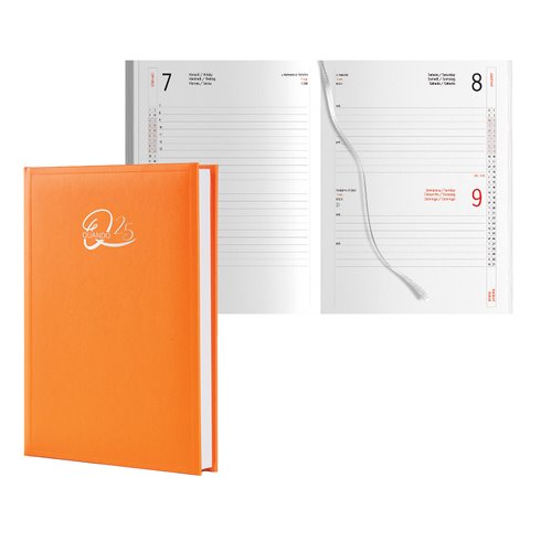 Agenda 25 Quando Alleria 15x21 Giorn. SDA Arancio