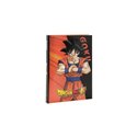 Fp 24 Dragonball Diario 12 Mesi Std 71790