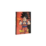 Fp 24 Dragonball Diario 12 Mesi Std 71790