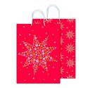 Shopper Sadoch 24 Natale Rex Stella Stelina 20x25x10 10 pz.