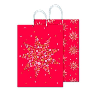 Shopper Sadoch 24 Natale Rex Stella Stelina 30x41x12 10 pz.