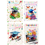 Biglietti Cecami 25 Laurea FA00221AL/12 12 pz.