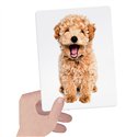 Headu 25 Flashcards Tactile Montessori