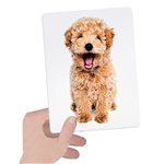 Headu 25 Flashcards Tactile Montessori