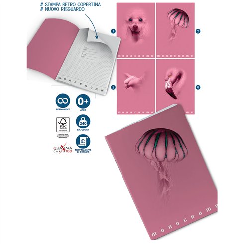 Maxi Monocromo Silver 100 gr. 18+1 5M