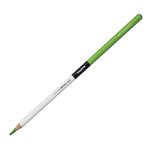 Carioca Plus Color Pencil 07 Light Green 12 pz.