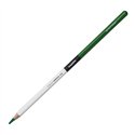 Carioca Plus Color Pencil 28 Mint Green 12 pz.