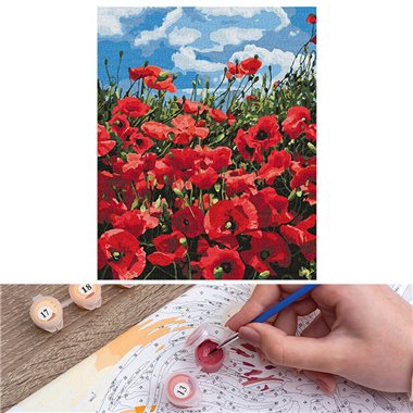Painting numbers 40x50 Divine poppies  КНО2287