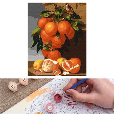 Painting numbers 40x50 Oranges and lemons KHO5651