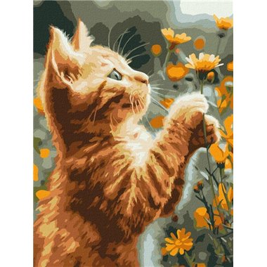 Painting by Numbers 30х40 KHO6607 Red fluffy