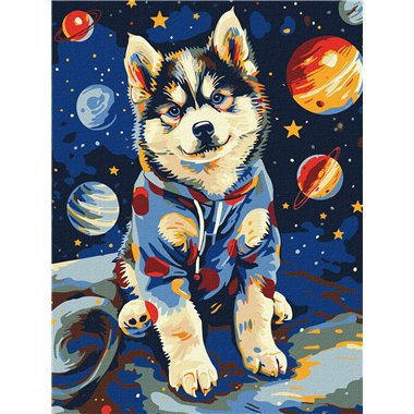 Painting by Numbers 30х40 KHO6645 Cosmic husky