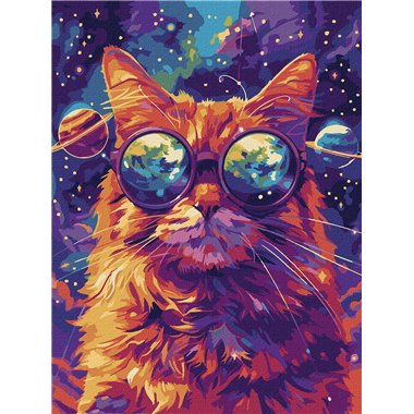 Painting by Numbers 30х40 KHO6651 Starry glasses