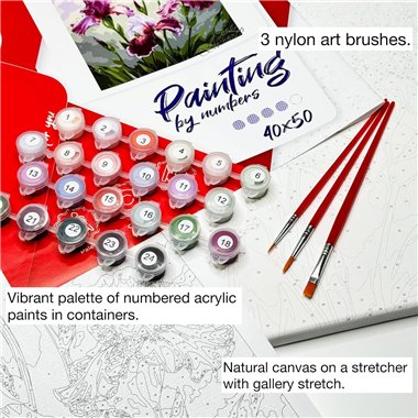 Painting by Numbers 30х40 KHO6607 Red fluffy