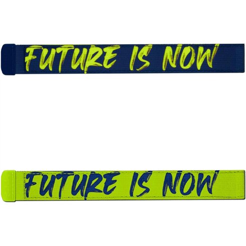 Satch 00 Swaps Future Is Now