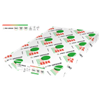 Carta Digitale Pro-Design 100 gr. SRA3 32x45 500 ff