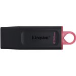 Chiavetta USB Kingston Data Traveler  256 GB 3.2