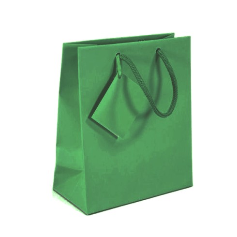 Shopper Star 00 Luxury 16X8X19 Verde 10 pz.