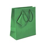 Shopper Star 00 Luxury 16X8X19 Verde 10 pz.