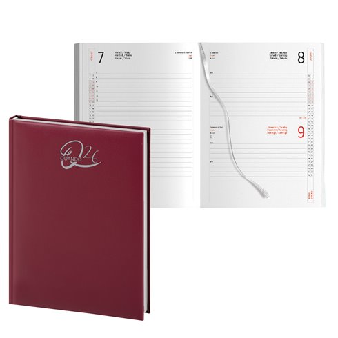 Agenda 26 Quando Alleria 15x21 Giorn. SDA Bordo'