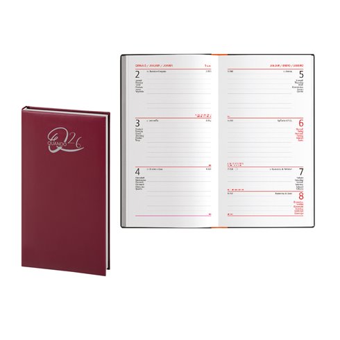 Agenda 26 Quando Alleria  8x15 Settimanale Bordo'