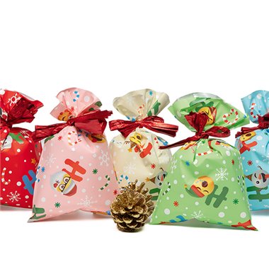 Buste PNP Xmas Smile 20x35