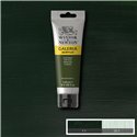 W&N Acrilico Galeria 120 ml Verde Oliva 447