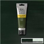 W&N Acrilico Galeria 120 ml Verde Oliva 447