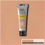 W&N Acrilico Galeria 120 ml Terracotta Chiaro 437