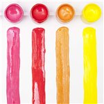 LB Education Catene di Vasetti 5ml 12 pz.