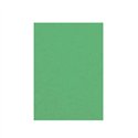 Cartoncino Similpelle A4 Verde 100 ff