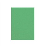 Cartoncino Similpelle A4 Verde 100 ff