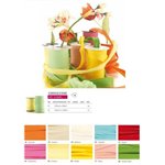 Nastri PNP Decor 12x50 Verde Mela/48