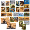 Headu 26 Memorix 108 Animal Cards