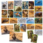 Headu 26 Memorix 108 Animal Cards