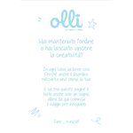Maxi Olli Glitterati 24+1 ff 100 gr. Q